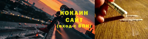 амф Верея