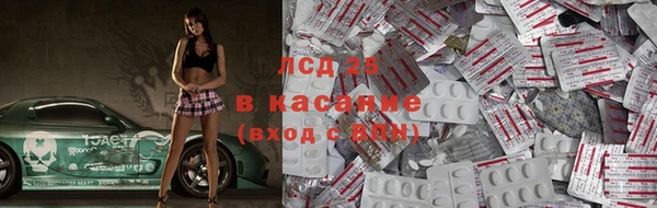 амф Верея