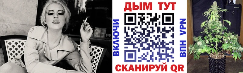 Шишки марихуана план  цены наркотик  маркетплейс состав  Гаврилов-Ям 